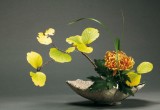 Ikebana