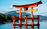 Torii, the sacred gates