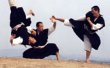 Le Shorinji Kempo